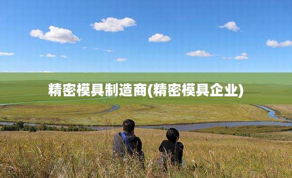 精密模具制造商(精密模具企业)