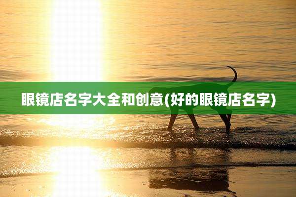 眼镜店名字大全和创意(好的眼镜店名字)