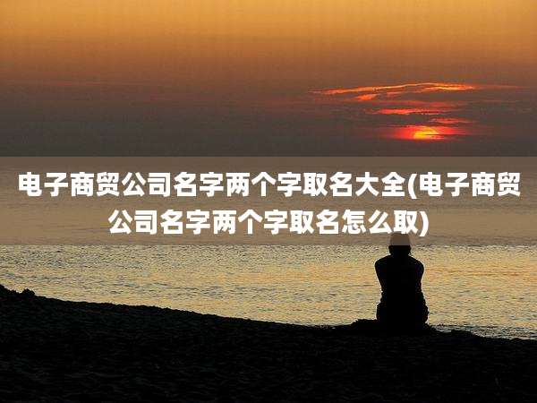 电子商贸公司名字两个字取名大全(电子商贸公司名字两个字取名怎么取)