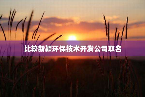 比较新颖环保技术开发公司取名