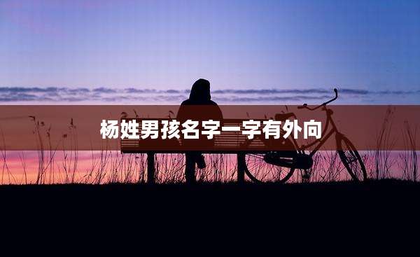 杨姓男孩名字一字有外向