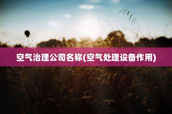空气治理公司名称(空气处理设备作用)