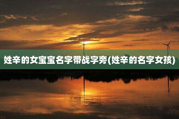 姓辛的女宝宝名字带战字旁(姓辛的名字女孩)