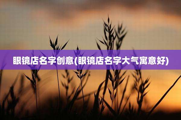 眼镜店名字创意(眼镜店名字大气寓意好)