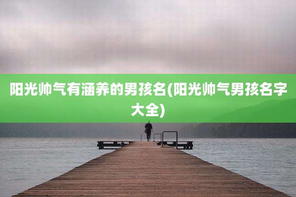 阳光帅气有涵养的男孩名(阳光帅气男孩名字大全)