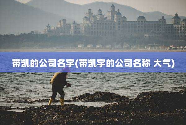 带凯的公司名字(带凯字的公司名称 大气)