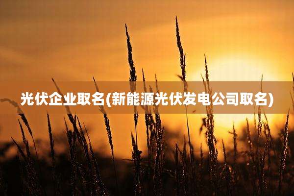 光伏企业取名(新能源光伏发电公司取名)