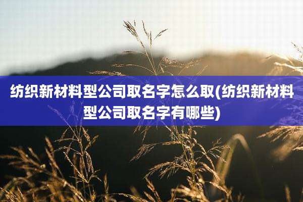 纺织新材料型公司取名字怎么取(纺织新材料型公司取名字有哪些)