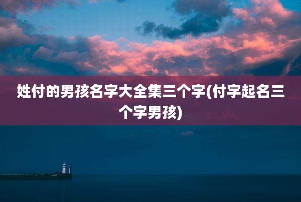 姓付的男孩名字大全集三个字(付字起名三个字男孩)