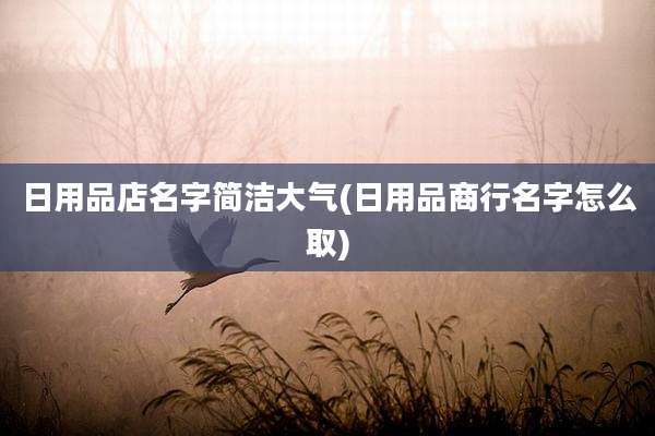 日用品店名字简洁大气(日用品商行名字怎么取)