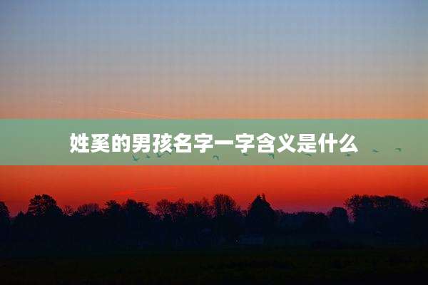 姓奚的男孩名字一字含义是什么
