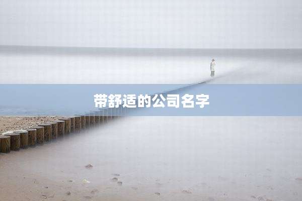 带舒适的公司名字