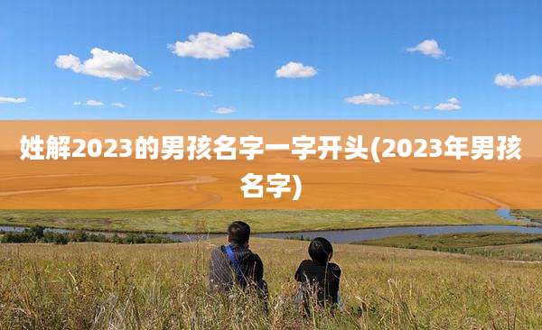 姓解2023的男孩名字一字开头(2023年男孩名字)
