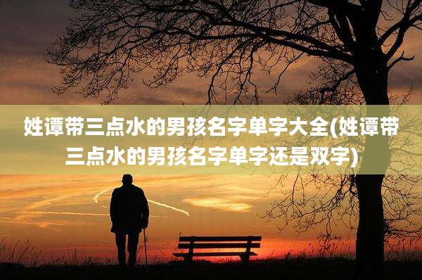 姓谭带三点水的男孩名字单字大全(姓谭带三点水的男孩名字单字还是双字)