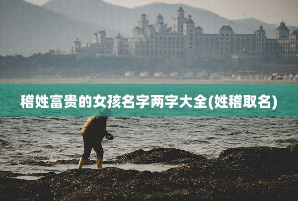 稽姓富贵的女孩名字两字大全(姓稽取名)