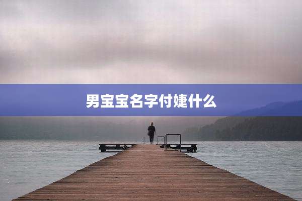 男宝宝名字付婕什么