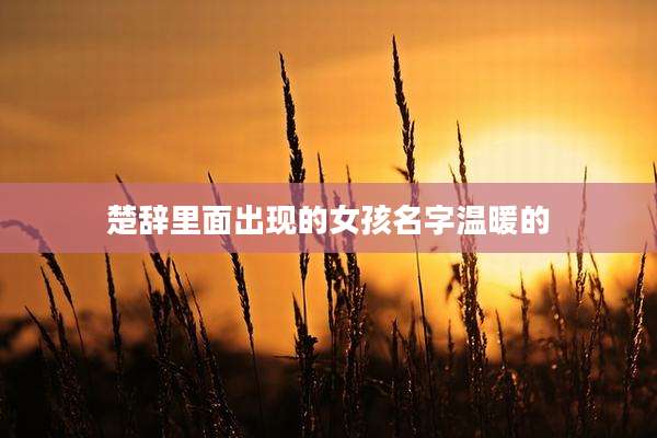 楚辞里面出现的女孩名字温暖的