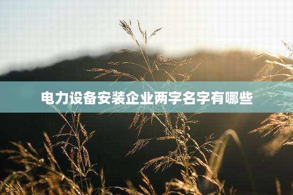 电力设备安装企业两字名字有哪些