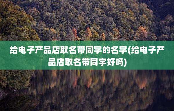 给电子产品店取名带同字的名字(给电子产品店取名带同字好吗)