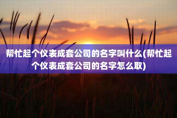 帮忙起个仪表成套公司的名字叫什么(帮忙起个仪表成套公司的名字怎么取)