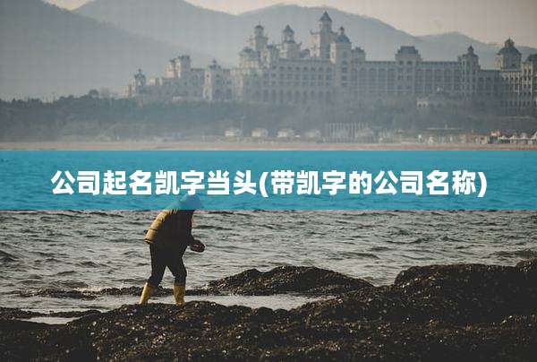 公司起名凯字当头(带凯字的公司名称)