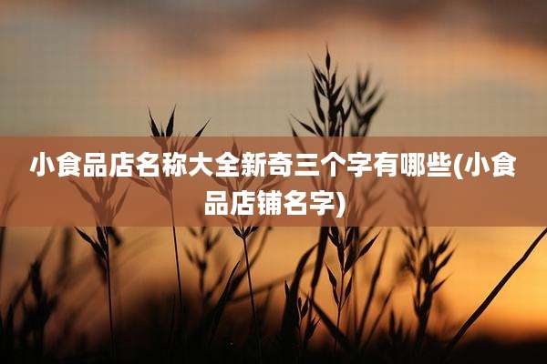 小食品店名称大全新奇三个字有哪些(小食品店铺名字)