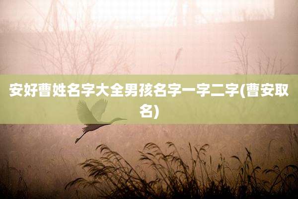 安好曹姓名字大全男孩名字一字二字(曹安取名)