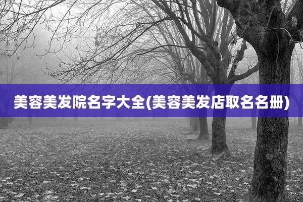 美容美发院名字大全(美容美发店取名名册)