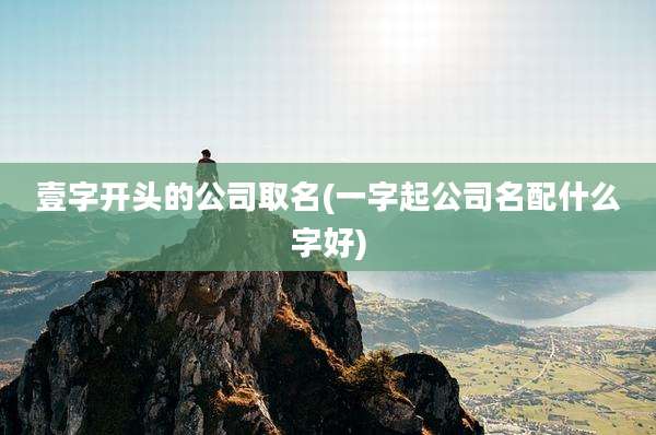 壹字开头的公司取名(一字起公司名配什么字好)
