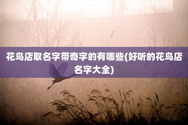 花鸟店取名字带奇字的有哪些(好听的花鸟店名字大全)