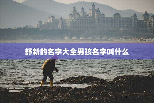 舒新的名字大全男孩名字叫什么
