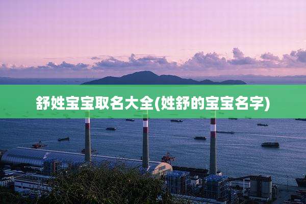 舒姓宝宝取名大全(姓舒的宝宝名字)