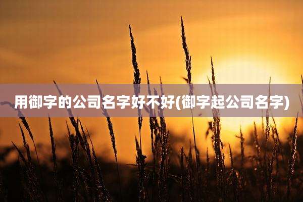 用御字的公司名字好不好(御字起公司名字)