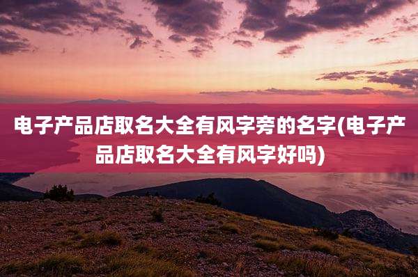 电子产品店取名大全有风字旁的名字(电子产品店取名大全有风字好吗)