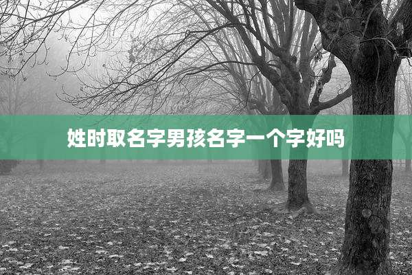 姓时取名字男孩名字一个字好吗