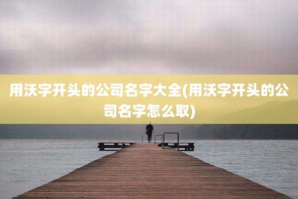 用沃字开头的公司名字大全(用沃字开头的公司名字怎么取)