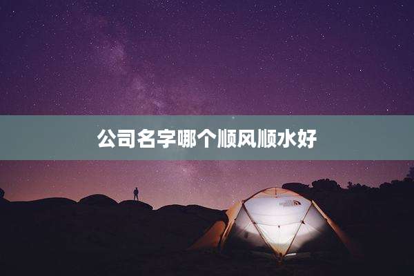 公司名字哪个顺风顺水好