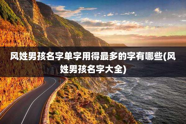 风姓男孩名字单字用得最多的字有哪些(风姓男孩名字大全)