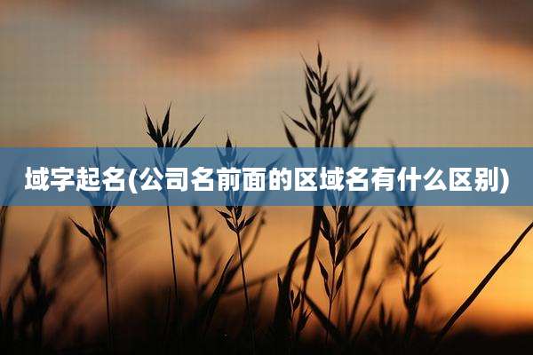 域字起名(公司名前面的区域名有什么区别)