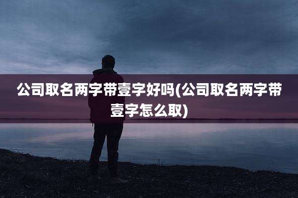 公司取名两字带壹字好吗(公司取名两字带壹字怎么取)