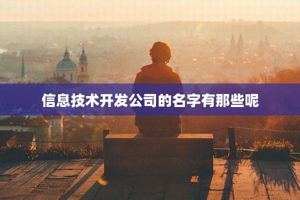 信息技术开发公司的名字有那些呢