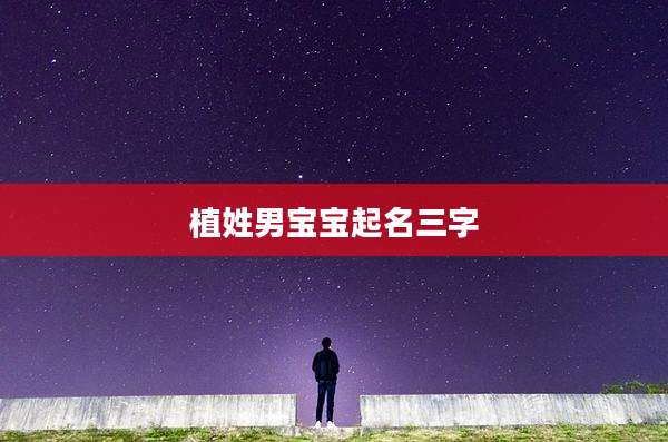 植姓男宝宝起名三字