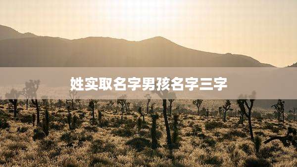 姓实取名字男孩名字三字