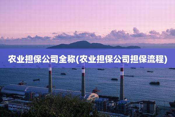 农业担保公司全称(农业担保公司担保流程)