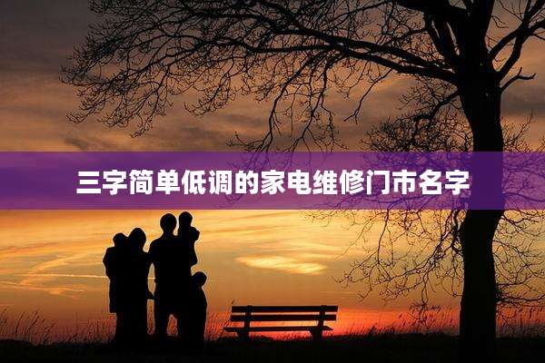 三字简单低调的家电维修门市名字