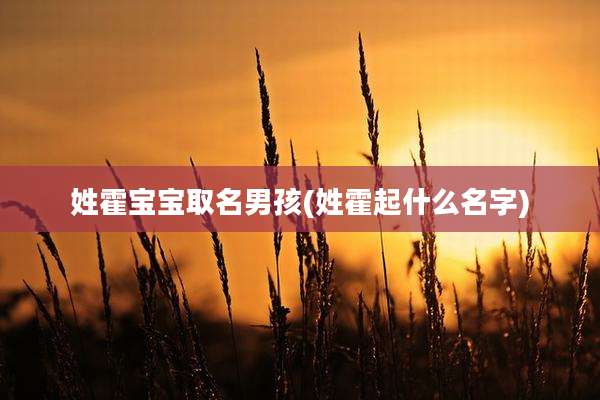 姓霍宝宝取名男孩(姓霍起什么名字)