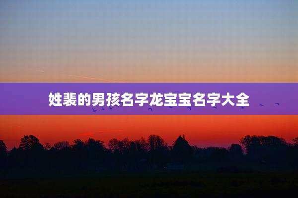 姓裴的男孩名字龙宝宝名字大全