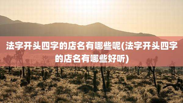 法字开头四字的店名有哪些呢(法字开头四字的店名有哪些好听)