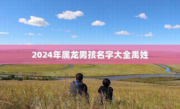 2024年属龙男孩名字大全禹姓