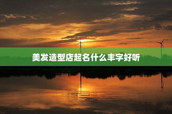 美发造型店起名什么丰字好听